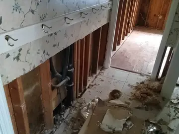Post-Leak Cleanup & Debris Removal project documentation photo 62