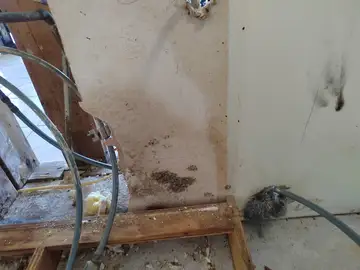 Post-Leak Cleanup & Debris Removal project documentation photo 378